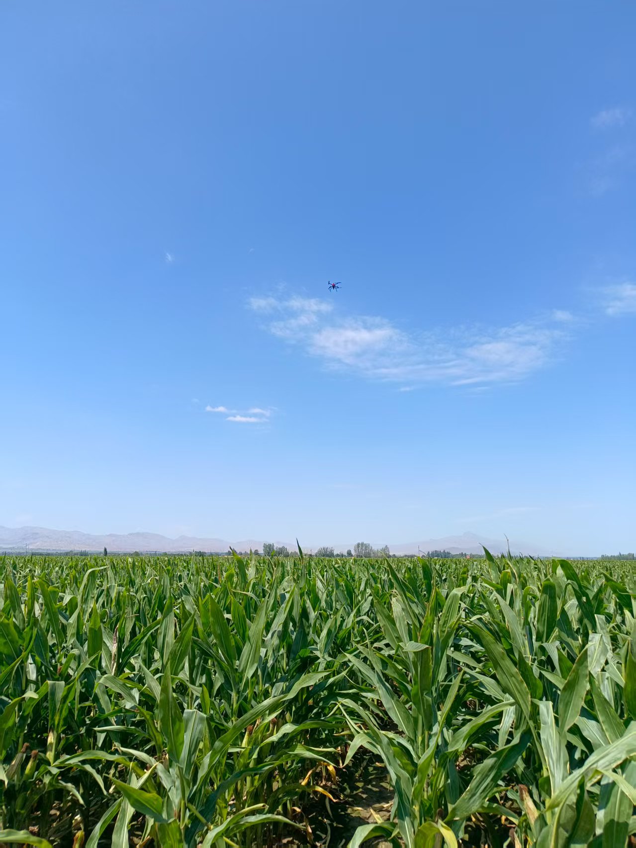 微信圖片_20250902103523_49_472.jpg 微信圖片_20250902103523_49_472.jpg